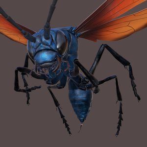 Meet your Posher, Tarantula